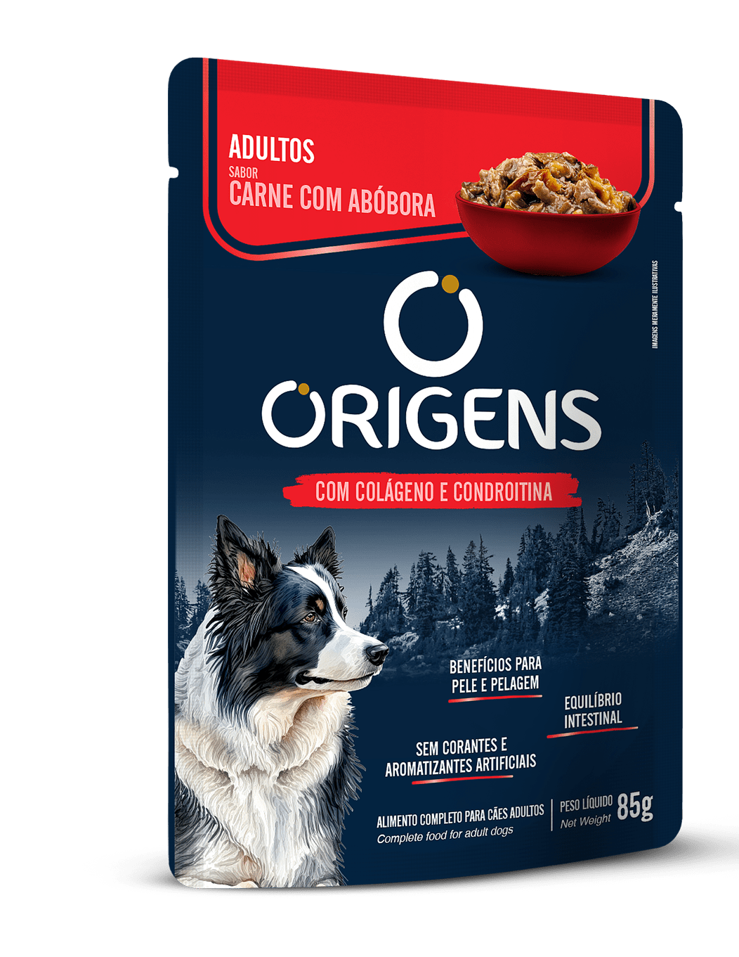 SACHE ORIGENS CAO AD CARNE